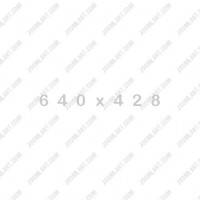 Sample image IV